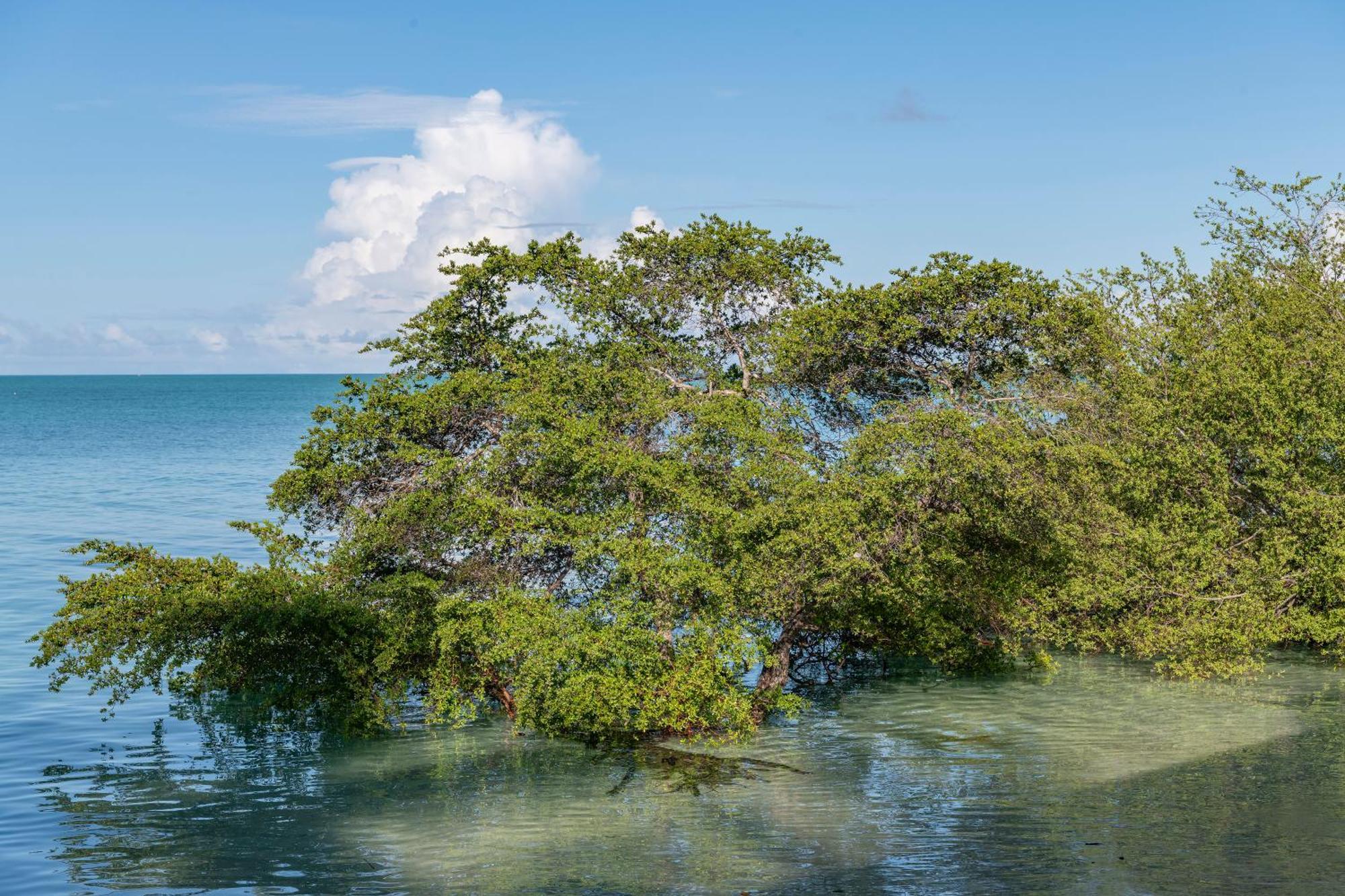 Nunukan Island Resort Maratua Island Экстерьер фото